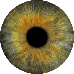 Farbiges Irisbild